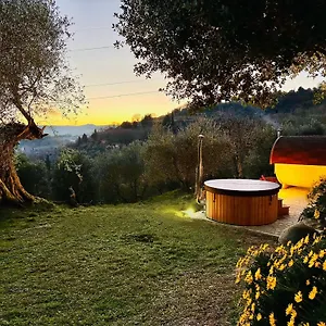 Montebello Degli Olivi Farm stay